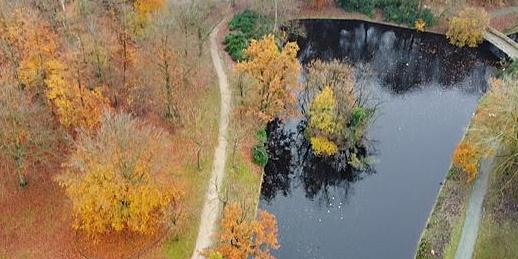 Vijver park Sorghvliedt Vijver park Sorghvliedt